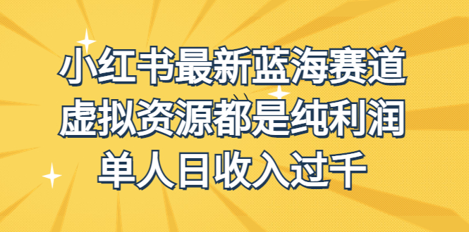 （6721期）外面收费1980的小红书最新蓝海赛道，虚拟资源都是纯利润，单人日收入过千-桐创网