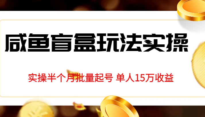 独家首发咸鱼盲盒玩法实操，半个月批量起号单人15万收益揭秘-桐创网