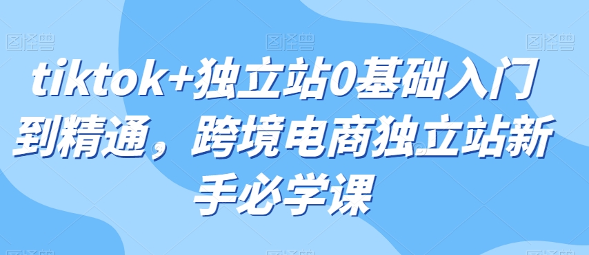 tiktok+独立站0基础入门到精通，跨境电商独立站新手必学课-桐创网