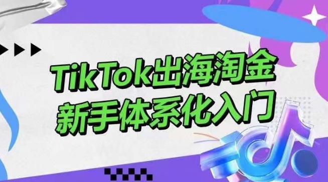 TikTok出海淘金，新手体系化入门，零基础快速入门，掌握短视频、直播带货等引流到变现的知识-桐创网