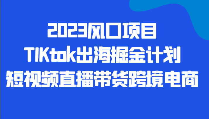 2023风口项目TIKtok出海掘金计划短视频直播带货跨境电商-桐创网