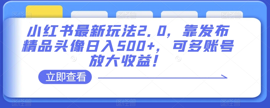 小红书最新玩法2.0，靠发布精品头像日入500+，可多账号放大收益！【揭秘】-桐创网