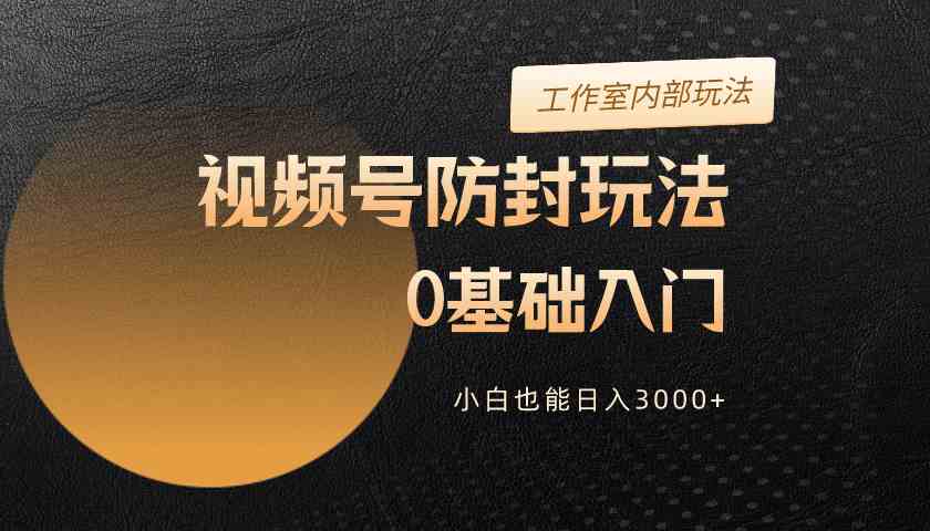 （10107期）2024视频号升级防封玩法，零基础入门，小白也能日入3000+-桐创网