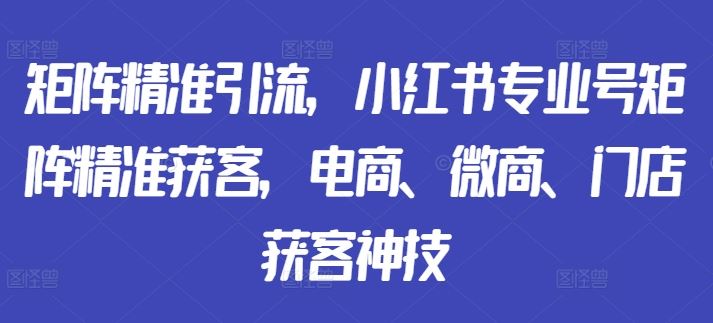 矩阵精准引流，小红书专业号矩阵精准获客，电商、微商、门店获客神技-桐创网