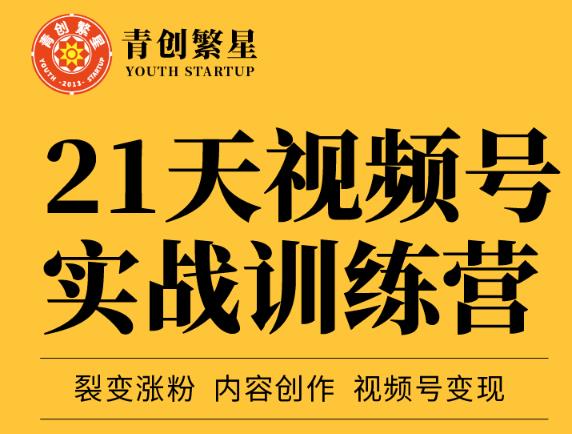 张萌21天视频号实战训练营，裂变涨粉、内容创作、视频号变现 价值298元-桐创网