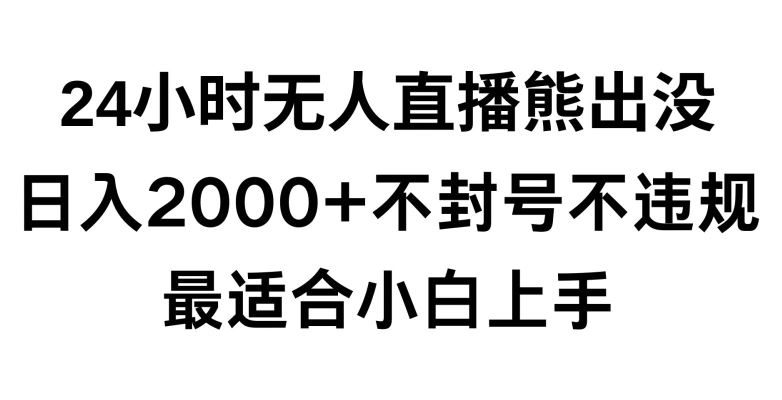 快手24小时无人直播熊出没，不封直播间，不违规，日入2000+，最适合小白上手，保姆式教学【揭秘】-桐创网