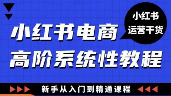 小红书电商高阶系统教程，新手从入门到精通系统课-桐创网