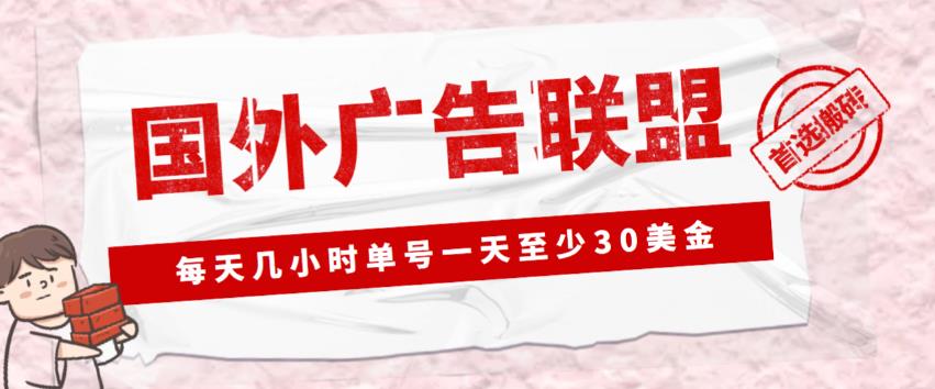 外面收费1980的最新国外LEAD广告联盟搬砖项目，单号一天至少30美金【详细玩法教程】-桐创网