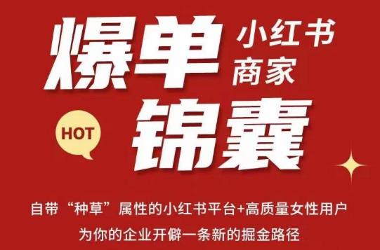 无畏·小红书商家爆单锦囊，掌握小红书各大规则，快速精准抢占行业和市场-桐创网