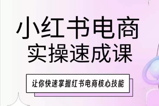 小红书电商实操速成课，让你快速掌握红书电商核心技能-桐创网