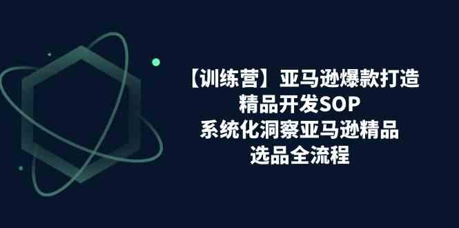 亚马逊爆款打造之精品开发SOP【训练营】，系统化洞察亚马逊精品选品全流程-桐创网