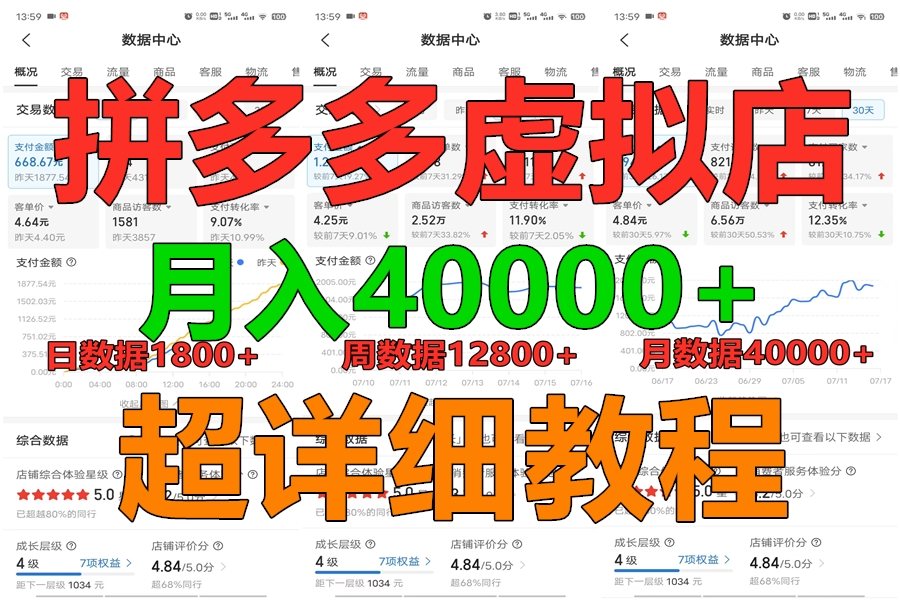 拼多多虚拟电商训练营月入40000+，全网最详细，你做你也行，暴利稳定长久-桐创网