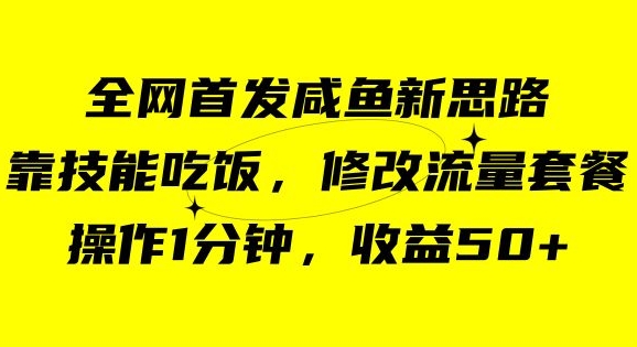 咸鱼冷门新玩法，靠“技能吃饭”，修改流量套餐，操作1分钟，收益50【揭秘】-桐创网