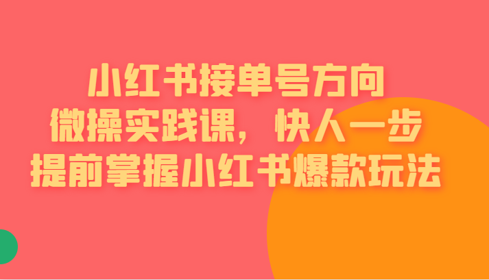 [小红书]小红书接单号方向微操实践课，快人一步提前掌握小红书爆款玩法-桐创网