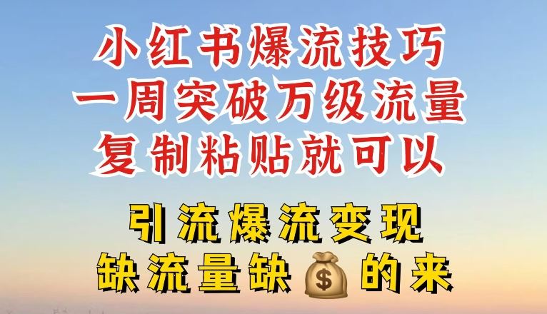 小红书爆流技巧，一周突破万级流量，复制粘贴就可以，引流爆流变现【揭秘】-桐创网