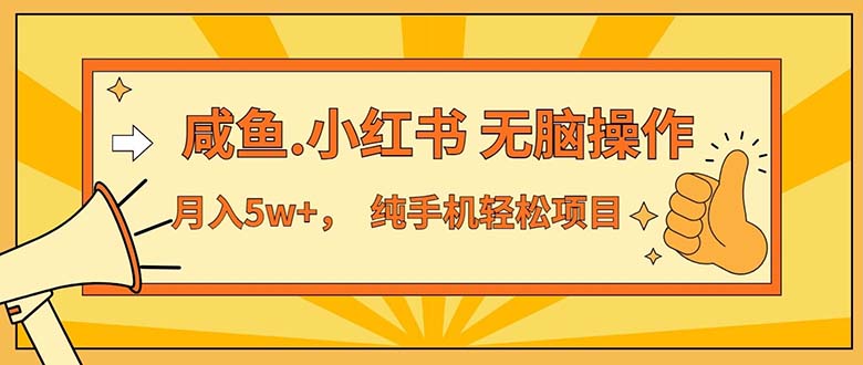 （11524期）2024最赚钱的项目，咸鱼，小红书无脑操作，每单利润500+，轻松月入5万+…-桐创网