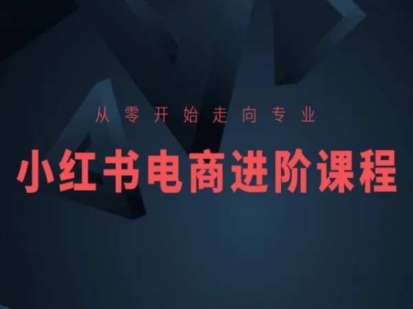 从零开始走向专业，小红书电商进阶课程-桐创网