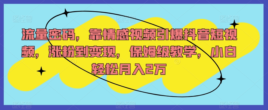 流量密码，靠情感视频引爆抖音短视频，涨粉到变现，保姆级教学，小白轻松月入2万【揭秘】-桐创网