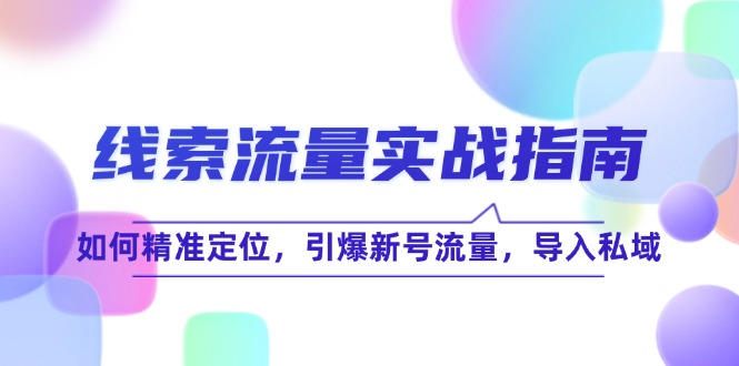 （12382期）线 索 流 量-实战指南：如何精准定位，引爆新号流量，导入私域-桐创网