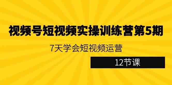 （9029期）视频号短视频实操训练营第5期：7天学会短视频运营（12节课）-桐创网