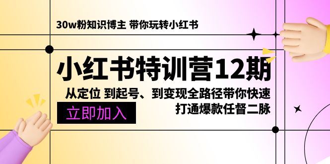 （10666期）小红书特训营12期：从定位 到起号、到变现全路径带你快速打通爆款任督二脉-桐创网