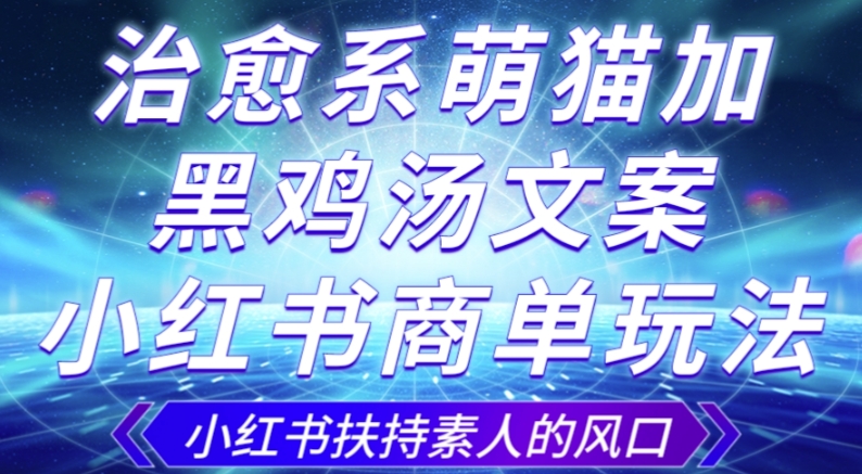 治愈系萌猫加+黑鸡汤文案，小红书商单玩法，3~10天涨到1000粉，一单200左右-桐创网