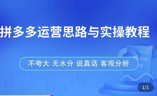 拼多多店铺运营思路与实操教程，快速学会拼多多开店和运营，少踩坑，多盈利-桐创网