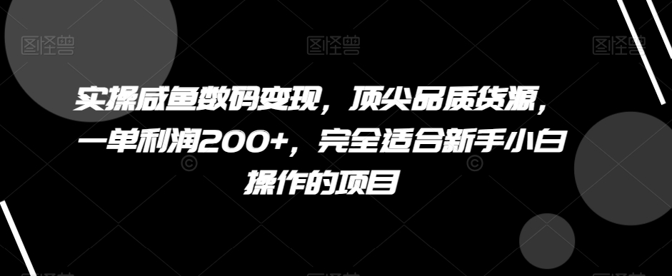 实操咸鱼数码变现，顶尖品质货源，一单利润200+，完全适合新手小白操作的项目【揭秘】-桐创网