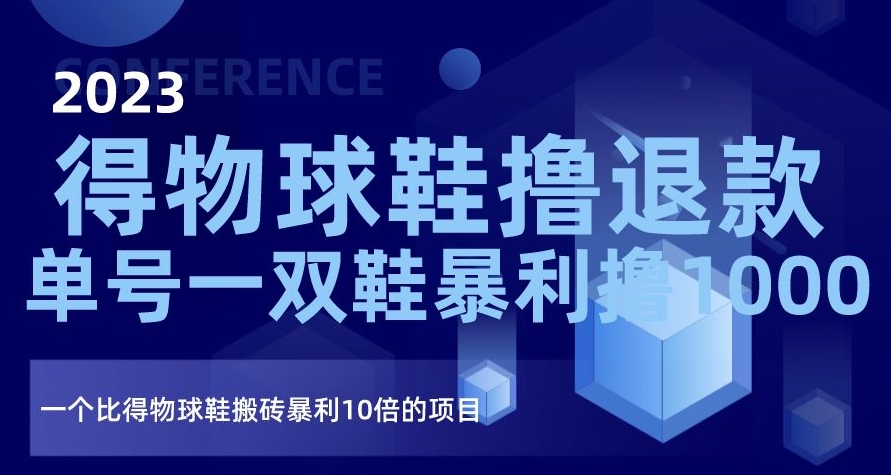 2023得物球鞋撸退款，单号一双鞋暴利撸1000，一个比得物球鞋搬砖暴利10倍的项目【揭秘】-桐创网