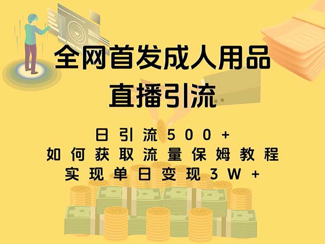 （8193期）最新全网独创首发，成人用品直播引流获客暴力玩法，单日变现3w保姆级教程-桐创网