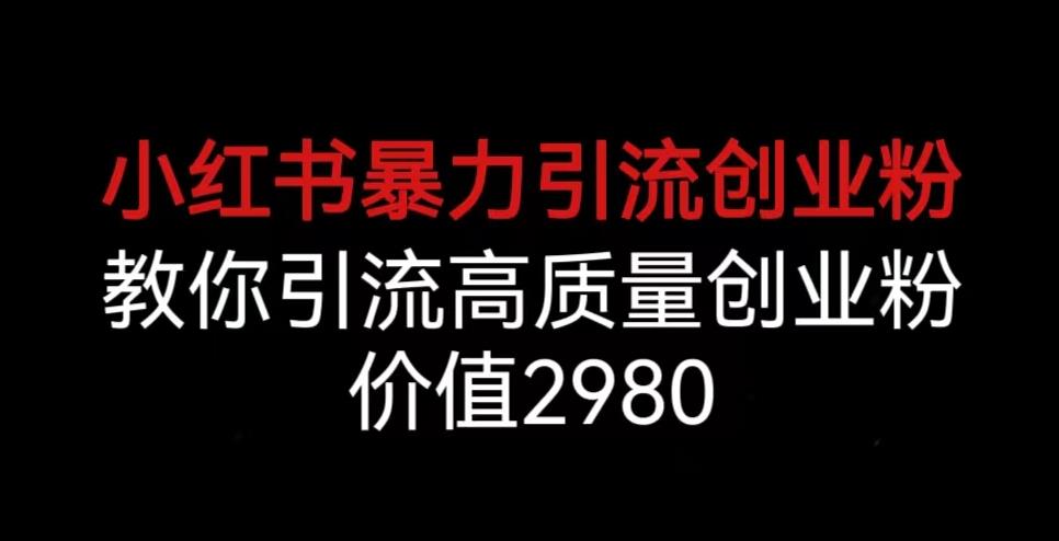 小红书暴力引流创业粉，教你引流高质量创业粉，价值2980【揭秘】-桐创网