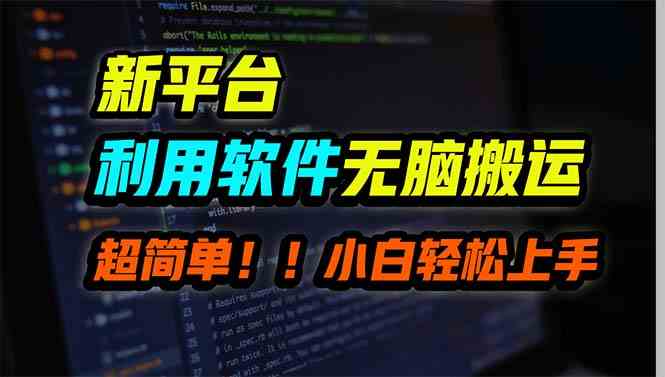 （9745期）新平台用软件无脑搬运，月赚10000+，小白也能轻松上手-桐创网