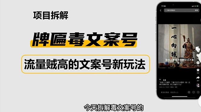 （4676期）2023抖音快手毒文案新玩法，牌匾文案号，起号快易变现-桐创网