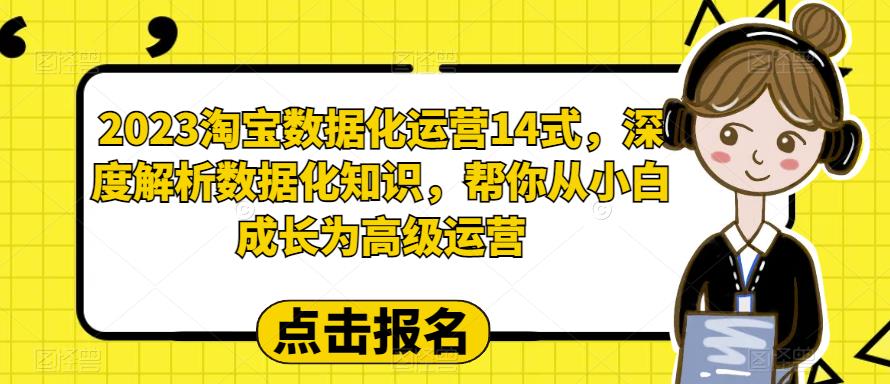 （6475期）2023淘宝数据化-运营 14式，深度解析数据化知识，帮你从小白成长为高级运营-桐创网