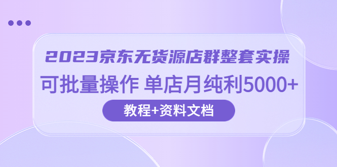 （6223期）2023京东-无货源店群整套实操 可批量操作 单店月纯利5000+63节课+资料文档-桐创网