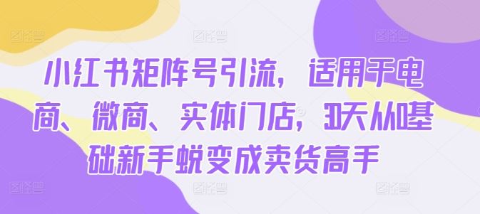 小红书矩阵号引流，适用于电商、微商、实体门店，30天从0基础新手蜕变成卖货高手-桐创网