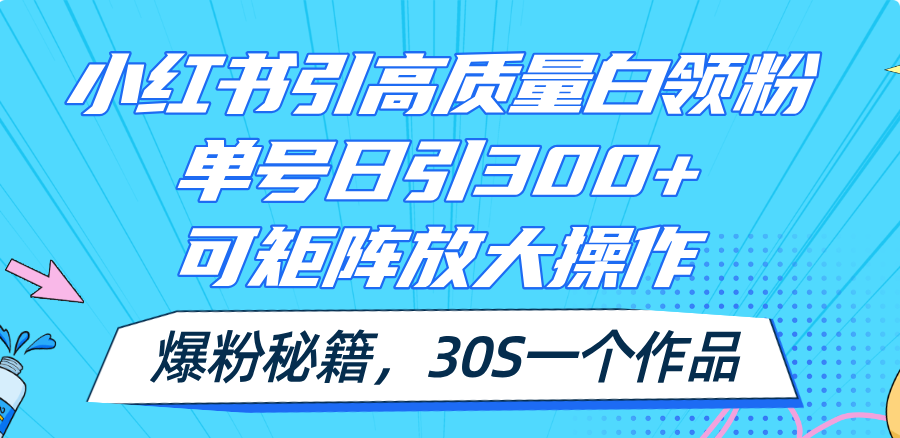 （11692期）小红书引高质量白领粉，单号日引300+，可放大操作，爆粉秘籍！30s一个作品-桐创网