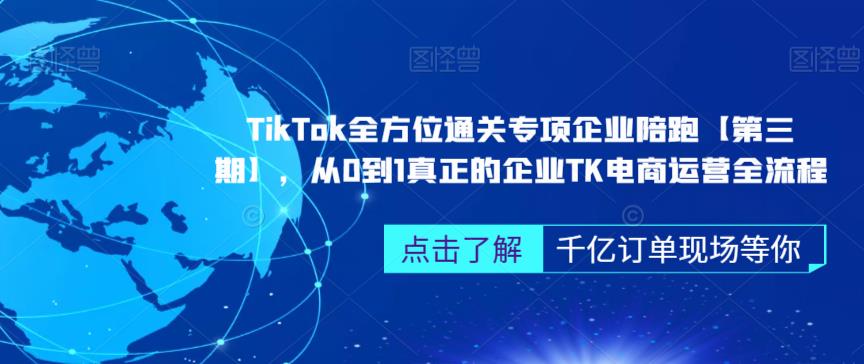 ‎TikTok全方位通关专项企业陪跑【第三期】，从0到1真正的企业TK电商运营全流程-桐创网