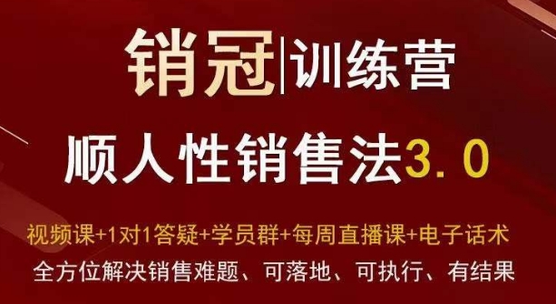 爆款！销冠训练营3.0之顺人性销售法，全方位解决销售难题、可落地、可执行、有结果-桐创网