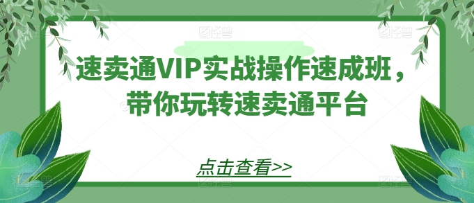 速卖通VIP实战操作速成班，带你玩转速卖通平台-桐创网