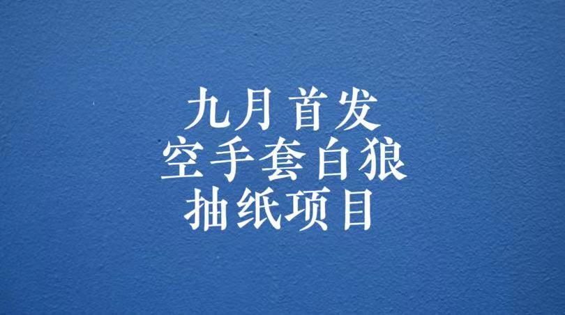 0成本，日入100-500空手套白狼抽纸项目，保姆级教学-桐创网