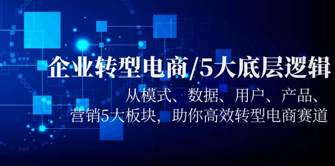 （5939期）企业转型电商/5大底层逻辑，从模式 数据 用户 产品 营销5大板块，高效转型-桐创网