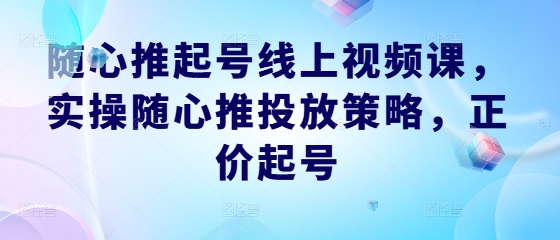 随心推起号线上视频课，实操随心推投放策略，正价起号-桐创网