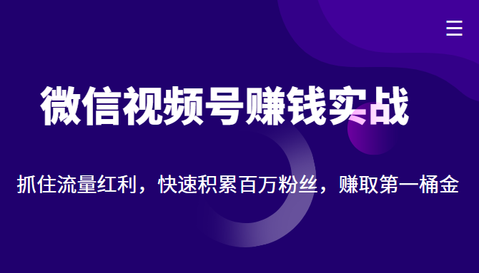 微信视频号赚钱实战：抓住流量红利，快速积累百万粉丝，赚取你的第一桶金-桐创网