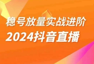 稳号放量实战进阶—2024抖音直播，直播间精细化运营的几大步骤-桐创网