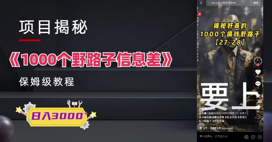 1000个野路子信息差保姆式教程-单日变现3000+的玩法解密-桐创网