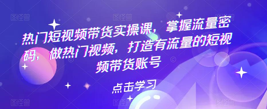 热门短视频带货实操课，掌握流量密码，做热门视频，打造有流量的短视频带货账号-桐创网