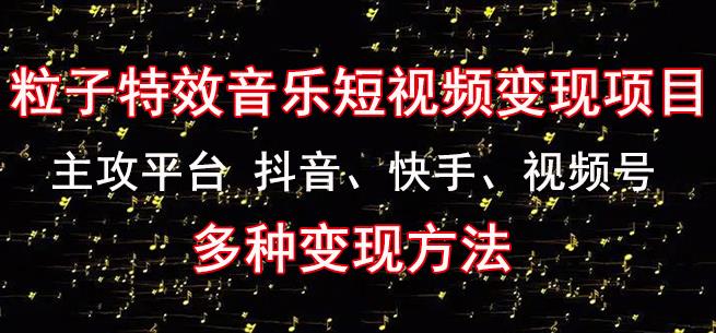 黄岛主《粒子特效音乐短视频变现项目》主攻平台抖音、快手、视频号多种变现方法-桐创网