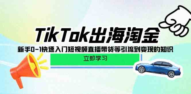 TikTok出海淘金，新手0-1快速入门短视频直播带货等引流到变现的知识-桐创网