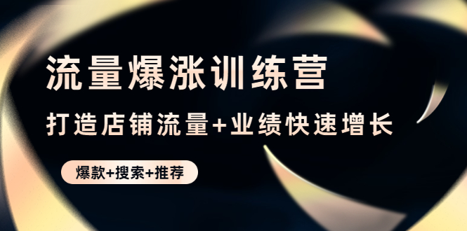 （4487期）流量爆涨训练营：打造店铺流量+业绩快速增长 (爆款+搜索+推荐)-桐创网